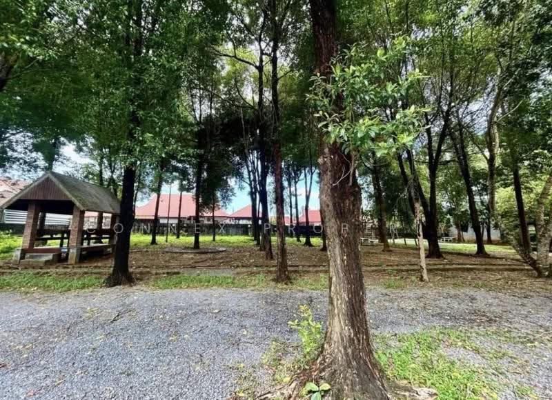 Kankrao Pool View, Phuket, สายท่าเรือ – เมืองใหม่, Sri Sunthon, Thalang, Phuket, 4 Bedrooms, 360 sqm, Single Detached House For Rent, by Connex Property, 500559513 - DDproperty.com