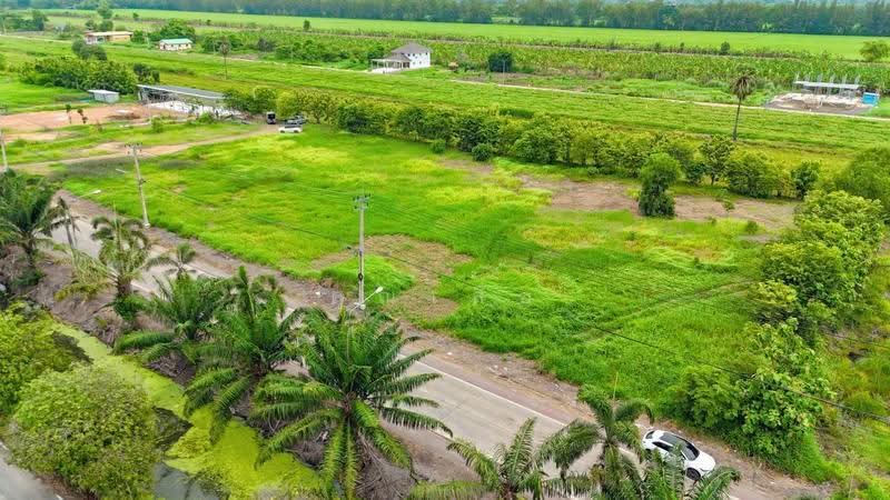 ขายที่ดินมรดก, ปทุมธานี, หนองสามวัง, หนองเสือ, ปทุมธานี, 1,600 ตร.ม., ที่ดิน ขาย, โดย คุณเสือ, 500559579 - DDproperty.com
