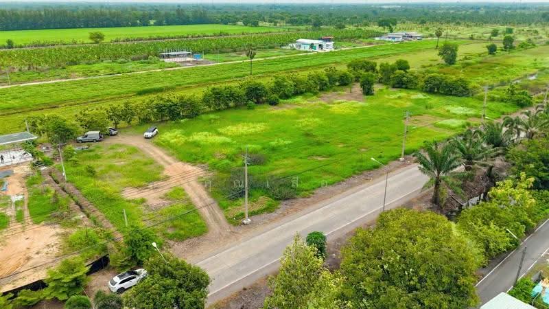 land for sell, Pathum Thani, Nong Sam Wang, Nong Sua, Pathum Thani, , 1,600 sqm, Land For Sale, by คุณเสือ, 500559579 - DDproperty.com