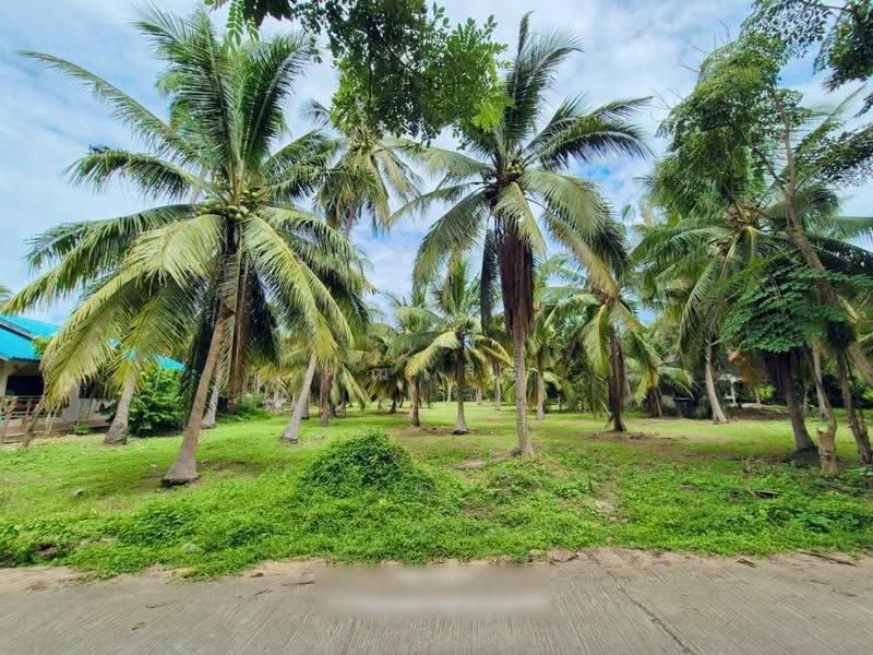 land for sell, Prachuap Khiri Khan, Kui Buri, Prachuap Khiri Khan, , 9,600 sqm, Land For Sale, by คุณเสือ, 500559611 - DDproperty.com