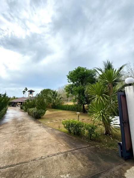 Ban Khrua Suek (Kanan Thalang), Phuket, -, Thep Krasattri, Thalang, Phuket, 4 Bedrooms, 2,800 sqm, Single Detached House For Rent, by Connex Property, 500559654 - DDproperty.com