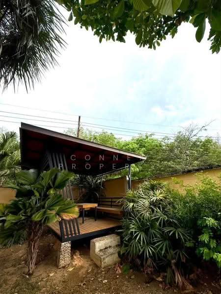 Ban Khrua Suek (Kanan Thalang), Phuket, -, Thep Krasattri, Thalang, Phuket, 4 Bedrooms, 2,800 sqm, Single Detached House For Rent, by Connex Property, 500559654 - DDproperty.com