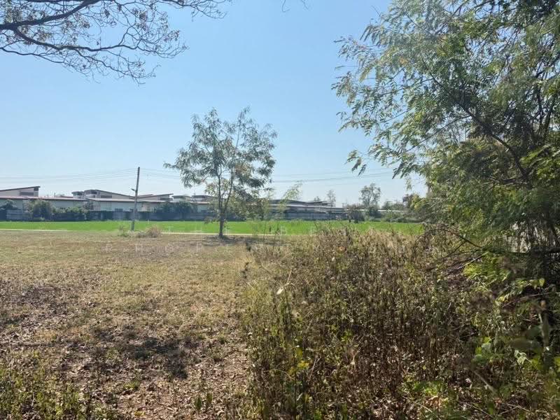 ที่ดินสันกำแพง เชียงใหม่, Chiang Mai, San Ton Pao, San Kamphaeng, Chiang Mai, , 1,520 sqm, Land For Sale, by The Best Property บอย, 500559856 - DDproperty.com
