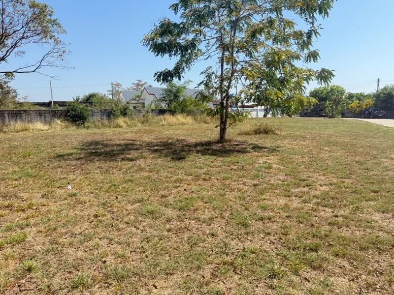 ที่ดินสันกำแพง เชียงใหม่, Chiang Mai, San Ton Pao, San Kamphaeng, Chiang Mai, , 1,520 sqm, Land For Sale, by The Best Property บอย, 500559856 - DDproperty.com