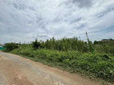 ขาย - ขายที่ดินเปล่า 90 ตรว. เลียบคลองทวีวัฒนา, กรุงเทพ