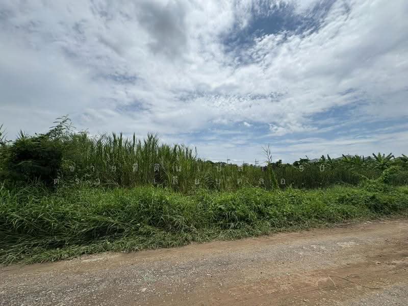 ขายที่ดินเปล่า 90 ตรว. เลียบคลองทวีวัฒนา, กรุงเทพ, ศาลาธรรมสพน์, ทวีวัฒนา, กรุงเทพ, 360 ตร.ม., ที่ดิน ขาย, โดย คุณไทด์, 500559995 - DDproperty.com
