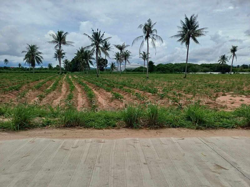 Land for sale in Nong Khwae - beautiful plot, prime location for the future, Chon Buri (Pattaya), Bueng, Si Racha, Chon Buri (Pattaya), , 16,620 sqm, Land For Sale, by A House Property Co.,Ltd., 500560057 - DDproperty.com