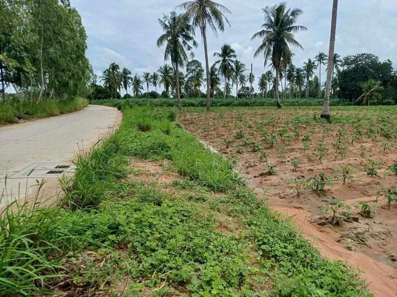 Land for sale in Nong Khwae - beautiful plot, prime location for the future, Chon Buri (Pattaya), Bueng, Si Racha, Chon Buri (Pattaya), , 16,620 sqm, Land For Sale, by A House Property Co.,Ltd., 500560057 - DDproperty.com