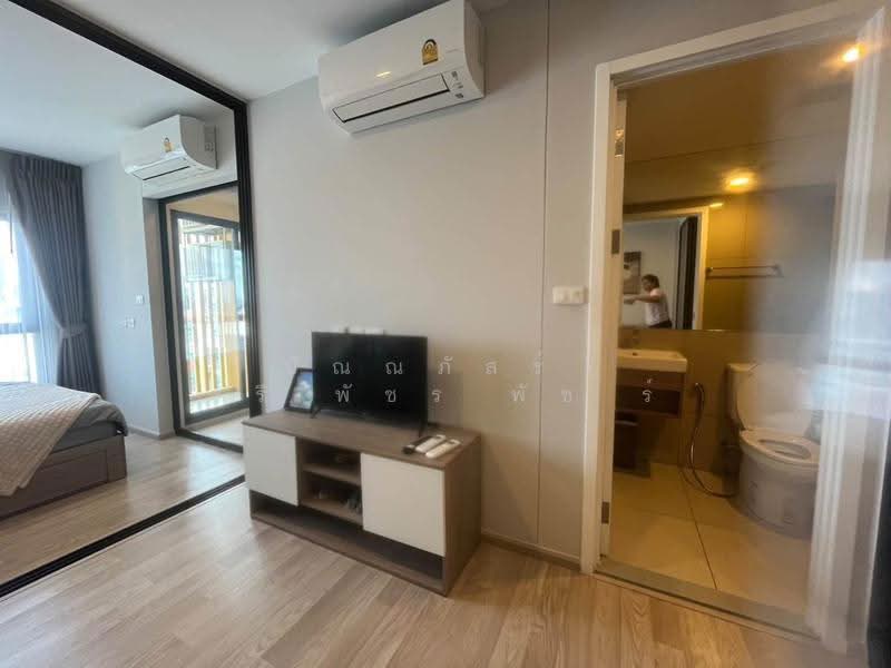 Plum Condo Sukhumvit 97/1, Bangkok, 204 Soi Sukhumvit 97/1, Bang Chak, Phra Khanong, Bangkok, 1 Bedroom, 29 sqm, Condo For Rent, by ปัณณภัสร์ ศรีพัชรพัชร์, 500560143 - DDproperty.com