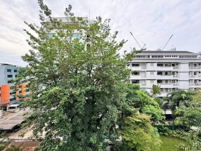 Ruamrudee Penthouse, Bangkok, Soi Ruamrudee, Lumphini, Pathum Wan, Bangkok, 3 Bedrooms, 295 sqm, Condo For Rent, by Bangkok Residential, 500560313 - DDproperty.com