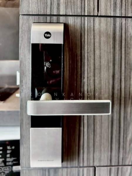 ASHTON Asoke, Bangkok, 131 Asoke Montri Road, Khlongtoei Nua, Watthana, Bangkok, 1 Bedroom, 35 sqm, Condo For Rent, by Kornkanok Sonvichai, 500560317 - DDproperty.com