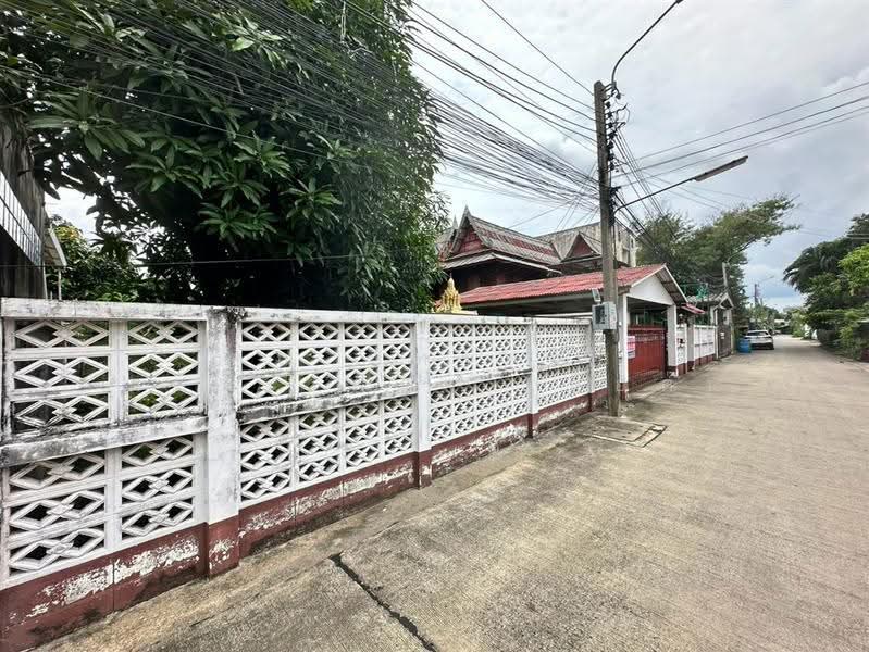 ที่ดิน + บ้านเดี่ยว 130 ตร.ว. ใกล้ศูนย์ราชการแจ้งวัฒนะ ซอยแจ้งวัฒนะ10 แยก9-1, Bangkok, ถนนแจ้งวัฒนะ, Thung Song Hong, Lak Si, Bangkok, , 520 sqm, Land For Sale, by คุณ ภัทรดนัย ผลมะเฟือง (ล็อต), 500560373 - DDproperty.com