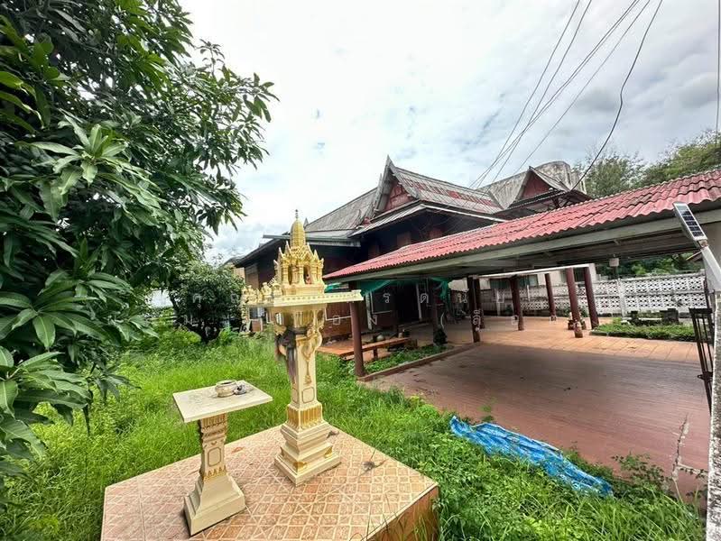 ที่ดิน + บ้านเดี่ยว 130 ตร.ว. ใกล้ศูนย์ราชการแจ้งวัฒนะ ซอยแจ้งวัฒนะ10 แยก9-1, Bangkok, ถนนแจ้งวัฒนะ, Thung Song Hong, Lak Si, Bangkok, , 520 sqm, Land For Sale, by คุณ ภัทรดนัย ผลมะเฟือง (ล็อต), 500560373 - DDproperty.com