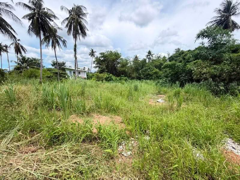 Land in Si Racha a prime investment location in the Khao Noi community area, Chon Buri (Pattaya), Surasak, Si Racha, Chon Buri (Pattaya), , 800 sqm, Land For Sale, by A House Property Co.,Ltd., 500560476 - DDproperty.com