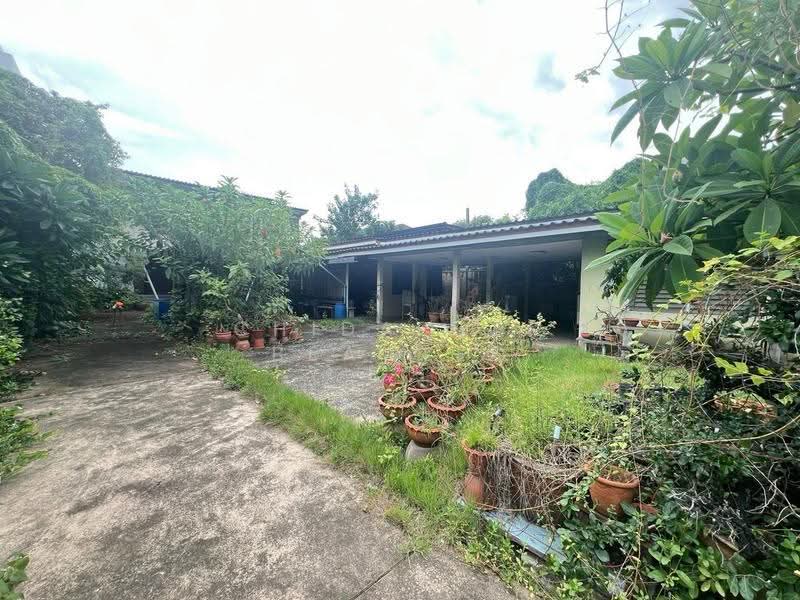 Land for Sale Sukhumvit 40-42 Soi Saman Chan,Ekkamai-Near Bts Ekkamai, Bangkok, Phra Kanong, Khlong Toei, Bangkok, , 1,352 sqm, Land For Sale, by Chidaphar Beawlek, 500560517 - DDproperty.com