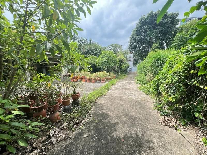 ที่ดินสุขุมวิท 40-42 ซอยสมานฉันท์ ทำเลเอกมัย, กรุงเทพ, พระโขนง, คลองเตย, กรุงเทพ, 1,352 ตร.ม., ที่ดิน ขาย, โดย Chidaphar Beawlek, 500560517 - DDproperty.com