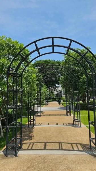บ้าน 4-ห้องนอน, กรุงเทพ, คลองสองต้นนุ่น, ลาดกระบัง, กรุงเทพ, 170 ตร.ม., บ้านเดี่ยว ให้เช่า, โดย Ratchanon Songthammakul, 500560564 - DDproperty.com