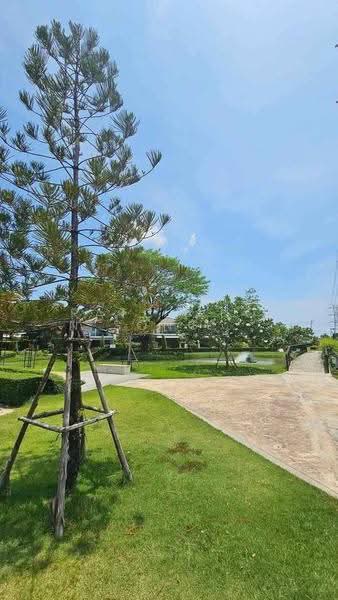 บ้าน 4-ห้องนอน, กรุงเทพ, คลองสองต้นนุ่น, ลาดกระบัง, กรุงเทพ, 170 ตร.ม., บ้านเดี่ยว ให้เช่า, โดย Ratchanon Songthammakul, 500560564 - DDproperty.com