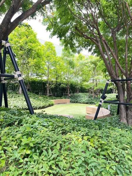 Life Rama 4-Asoke, Bangkok, Rama 4 Road, Khlong Toei, Bangkok, 1 Bedroom, 32 sqm, Condo For Rent, by Pattada Letikul, 500560596 - DDproperty.com