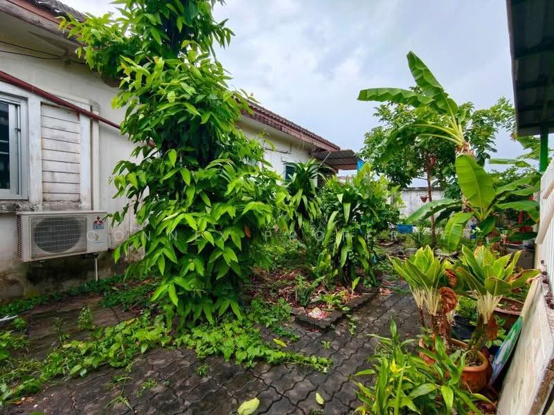Phuket Villa Rungdao, Phuket, เจ้าฟ้าตะวันออก, Wichit, Muang Phuket, Phuket, 3 Bedrooms, 293 sqm, Single Detached House For Sale, by Connex Property, 500560750 - DDproperty.com
