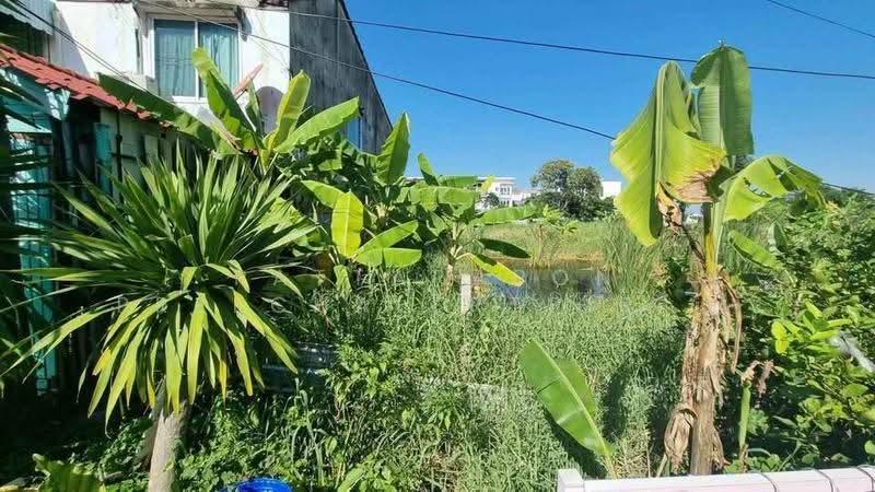1-BR House, Bangkok, Talat Bang Khen, Lak Si, Bangkok, 1 Bedroom, 47 sqm, Single Detached House For Sale, by Pattarapon Preechalertpiriya, 500560759 - DDproperty.com