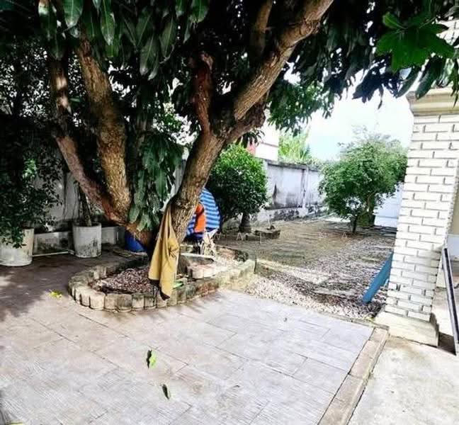 3-BR House, Bangkok, Lam Pla Tiew, Lat Krabang, Bangkok, 3 Bedrooms, 150 sqm, Single Detached House For Sale, by Vinai Wattana, 500560833 - DDproperty.com