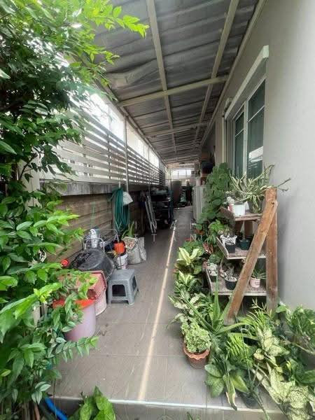 Passorn Prestige Onnut, Bangkok, Chaloem Phrakiat Rama 9 Road, Prawet, Bangkok, 3 Bedrooms, 190 sqm, Single Detached House For Sale, by Vinai Wattana, 500560854 - DDproperty.com
