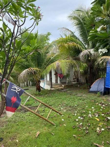 3-BR House, Prachuap Khiri Khan, Pak Nam Pran, Pran Buri, Prachuap Khiri Khan, 3 Bedrooms, 204 sqm, Single Detached House For Sale, by Chama Kamkaew, 500561129 - DDproperty.com