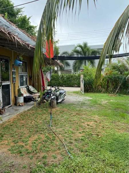 3-BR House, Prachuap Khiri Khan, Pak Nam Pran, Pran Buri, Prachuap Khiri Khan, 3 Bedrooms, 204 sqm, Single Detached House For Sale, by Chama Kamkaew, 500561129 - DDproperty.com