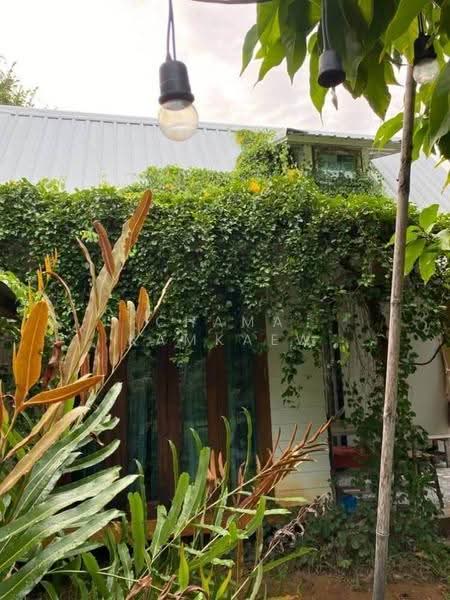3-BR House, Prachuap Khiri Khan, Pak Nam Pran, Pran Buri, Prachuap Khiri Khan, 3 Bedrooms, 204 sqm, Single Detached House For Sale, by Chama Kamkaew, 500561129 - DDproperty.com