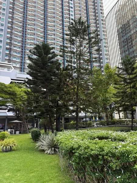 Supalai Premier Asoke, Bangkok, 1750 Petchaburi Road, Bang Kapi, Huai Khwang, Bangkok, 1 Bedroom, 50 sqm, Condo For Rent, by Suchatchaya Supawachiranant, 500561175 - DDproperty.com