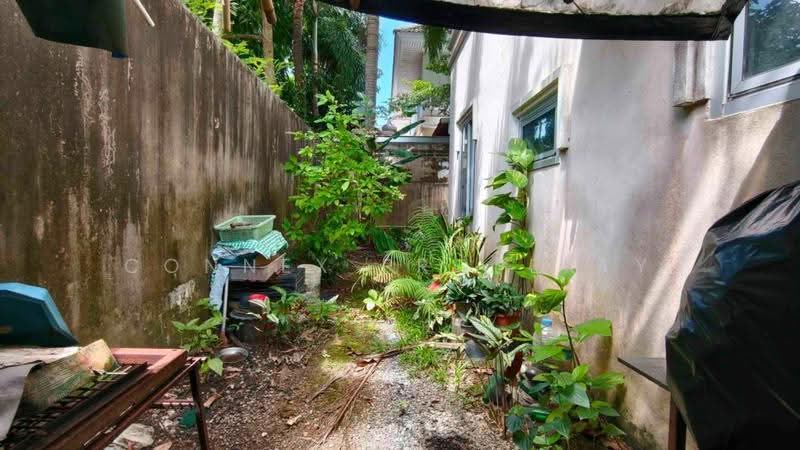 Baan Rock Garden Bypass Phuket 3,4, Phuket, ประชาอุทิศ 5, Ko Kaeo, Muang Phuket, Phuket, 3 Bedrooms, 200 sqm, Single Detached House For Sale, by Connex Property, 500561230 - DDproperty.com