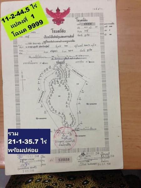 ขายที่ดินเปล่า อ.กะทู้ จ.ภูเก็ต, ภูเก็ต, กะทู้, ภูเก็ต, 34,143 ตร.ม., ที่ดิน ขาย, โดย ธัญพัฒน์ วิวิธวรรธ์, 500561233 - DDproperty.com