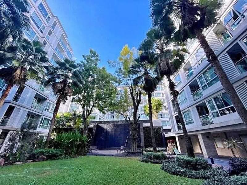 Mayfair Place Sukhumvit 64 : เมย์แฟร์ เพลส สุขุมวิท 64, กรุงเทพ, ถนนสุขุมวิท 64, บางจาก, พระโขนง, กรุงเทพ, 35 ตร.ม., คอนโด ขาย, โดย Suchatchaya Supawachiranant, 500561286 - DDproperty.com