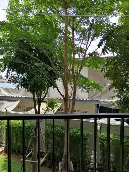 Plum Condo Bangyai Station, Nonthaburi, Janthongeam Road, Bang Rak Pattana, Bang Bua Thong, Nonthaburi, 1 Bedroom, 23 sqm, Condo For Rent, by Kanyaphat Aphiratprapakorn, 500561337 - DDproperty.com