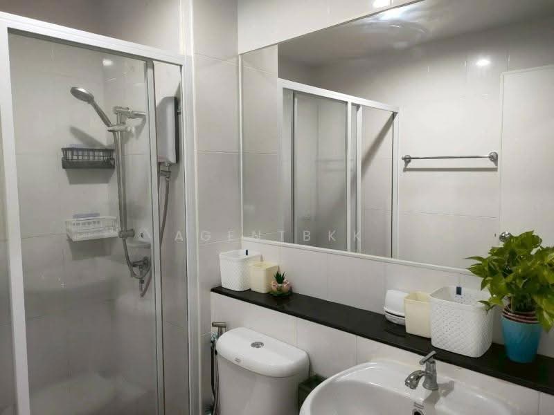 Regent Home Sukhumvit 97/1, bangkok, Soi Sukhumvit 97/1, Bang Chak, Phra Khanong, Bangkok, 1 Bedroom, 28 sqm, Condo For Rent, by Agentbkk, 500561379 - DDproperty.com