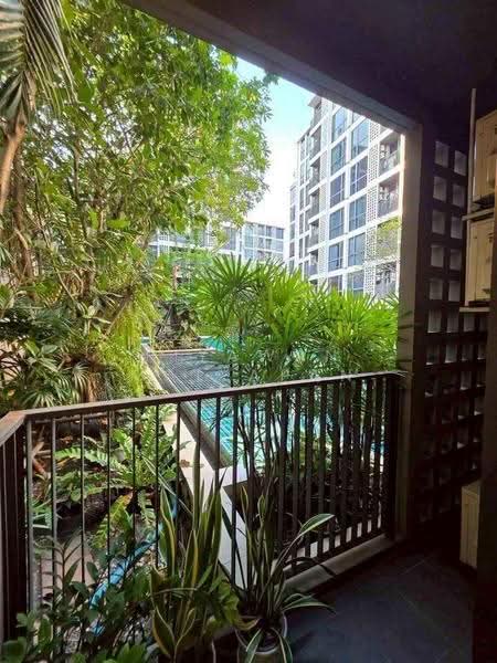 Chambers On-Nut Station, Bangkok, Soi Sukhumvit 81, Sukhumvit Road, Phra Kanong Nua, Watthana, Bangkok, 1 Bedroom, 37 sqm, Condo For Sale, by Piyawan Maiyapan, 500561750 - DDproperty.com