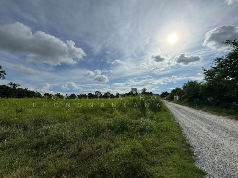 Land for Sale at Takhian Tia, Chon Buri (Pattaya), Ta Khian Tia, Bang Lamung (Pattaya), Chon Buri (Pattaya), , 12,364 sqm, Land For Sale, by Chattrathorn Thongnantanagoon, 500561925 - DDproperty.com