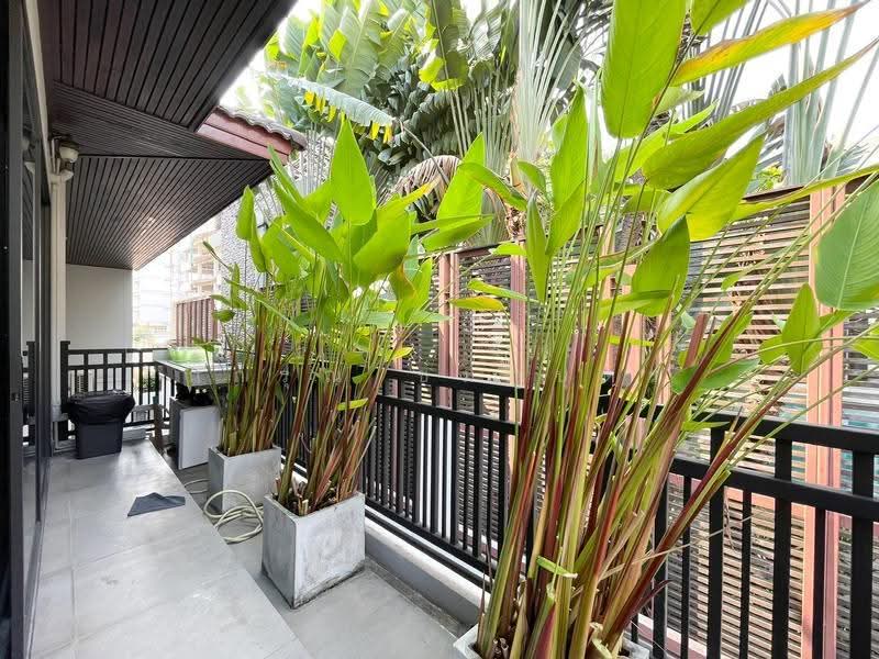 ทองหล่อ 25, Bangkok, Khlong Tan Nua, Watthana, Bangkok, 5 Bedrooms, 420 sqm, Single Detached House For Rent, by การุณ ชมภูบุตร, 500561934 - DDproperty.com