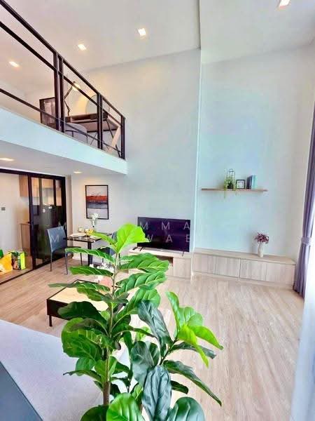 Modiz Sukhumvit 50, Bangkok, Soi Sukhumvit 50, Phra Kanong, Khlong Toei, Bangkok, 1 Bedroom, 42 sqm, Condo For Rent, by Muhammad-ameen Waeyusoh, 500562009 - DDproperty.com