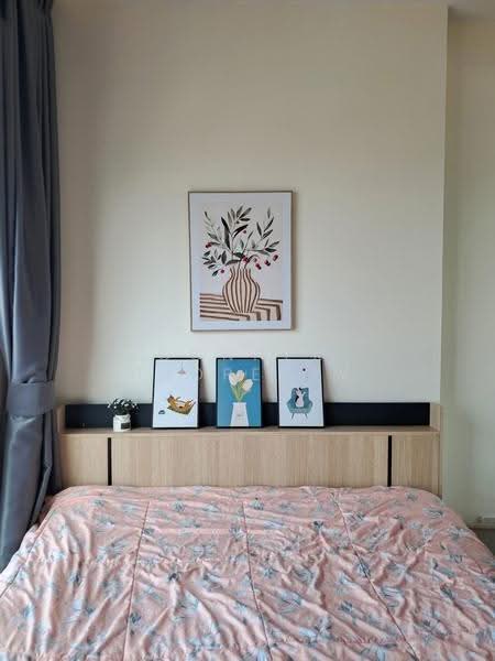 The Tree Sukhumvit 71-Ekamai, Bangkok, 1269 Sukhumvit 71 Road, Suan Luang, Bangkok, 1 Bedroom, 27 sqm, Condo For Rent, by Connex Property, 500562045 - DDproperty.com