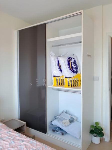 The Tree Sukhumvit 71-Ekamai, Bangkok, 1269 Sukhumvit 71 Road, Suan Luang, Bangkok, 1 Bedroom, 27 sqm, Condo For Rent, by Connex Property, 500562045 - DDproperty.com
