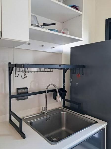 The Tree Sukhumvit 71-Ekamai, Bangkok, 1269 Sukhumvit 71 Road, Suan Luang, Bangkok, 1 Bedroom, 27 sqm, Condo For Rent, by Connex Property, 500562045 - DDproperty.com