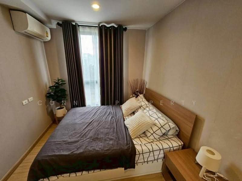 The Tree Onnut Station, Bangkok, 54 Sukhumvit Road, Bang Chak, Phra Khanong, Bangkok, 1 Bedroom, 27 sqm, Condo For Rent, by Connex Property, 500562065 - DDproperty.com