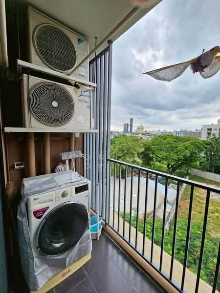 The Tree Onnut Station, Bangkok, 54 Sukhumvit Road, Bang Chak, Phra Khanong, Bangkok, 1 Bedroom, 27 sqm, Condo For Rent, by Connex Property, 500562065 - DDproperty.com
