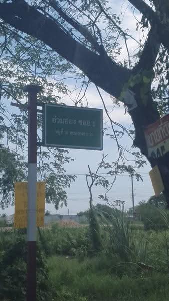 ขายด่วน ที่ดินสวยจ.นนท์, นนทบุรี, หนองเพรางาย, ไทรน้อย, นนทบุรี, 1,644 ตร.ม., ที่ดิน ขาย, โดย อุมาพร นิเวศบวรชัย, 500562074 - DDproperty.com