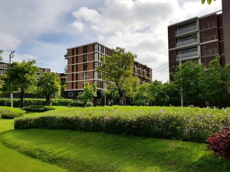Mori Haus : โมริ เฮาส์, กรุงเทพ, ซอยอ่อนนุช 1/1 ถนนสุขุมวิท 77, พระโขนงเหนือ, วัฒนา, กรุงเทพ, 36 ตร.ม., คอนโด ให้เช่า, โดย Woraruethai Klumbun, 500562112 - DDproperty.com