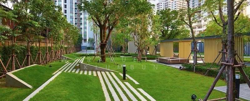 Life Pinklao, Bangkok, Boromarajonani Road, Bang Bamru, Bang Phlat, Bangkok, 1 Bedroom, 31 sqm, Condo For Sale, by Woraruethai Klumbun, 500562120 - DDproperty.com