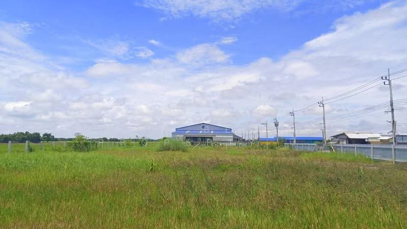 ที่ดินหนองจอก กรุงเทพมหานคร, bangkok, Khlong Sibsong, Nong Chok, Bangkok, , 1,600 sqm, Land For Sale, by The Best Property นิ, 500562123 - DDproperty.com
