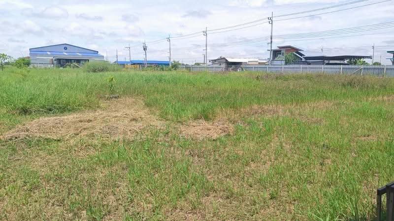 ที่ดินหนองจอก กรุงเทพมหานคร, bangkok, Khlong Sibsong, Nong Chok, Bangkok, , 1,600 sqm, Land For Sale, by The Best Property นิ, 500562123 - DDproperty.com